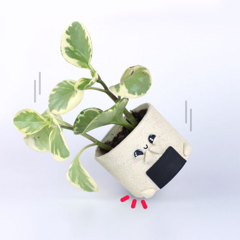 Macetas resistentes a las caídas